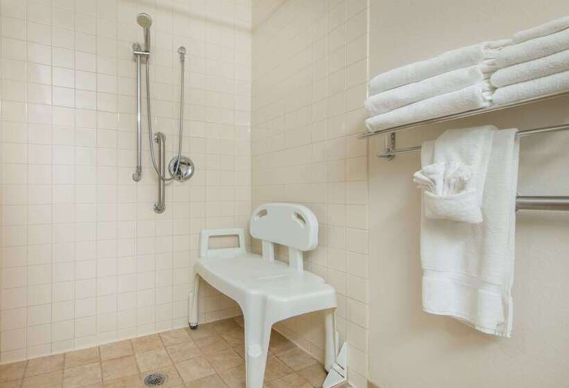 Microtel Inn & Suites