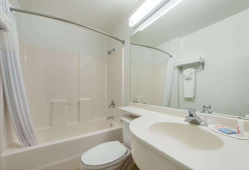 Microtel Inn & Suites