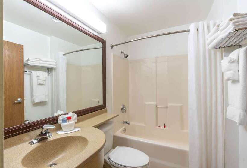 Microtel Inn & Suites