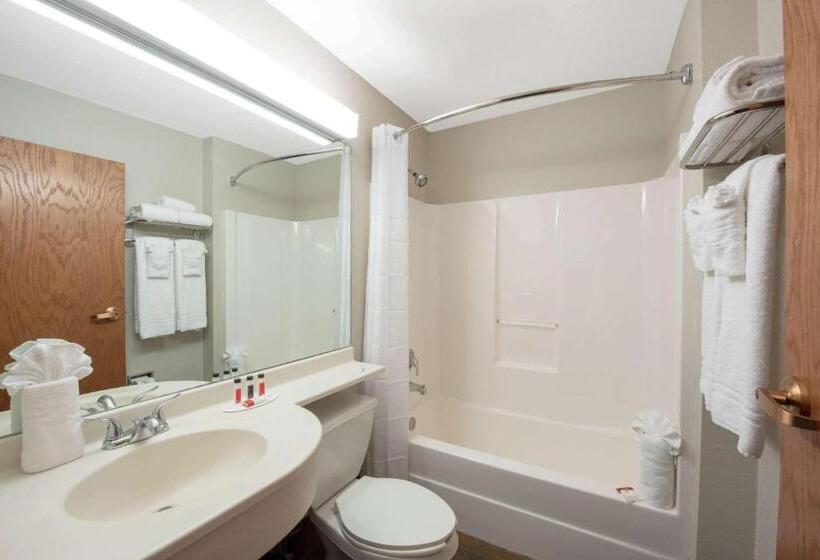 Microtel Inn & Suites By Wyndham Springfield