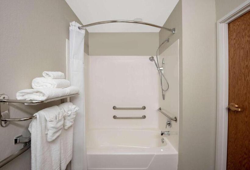 Microtel Inn & Suites By Wyndham Springfield