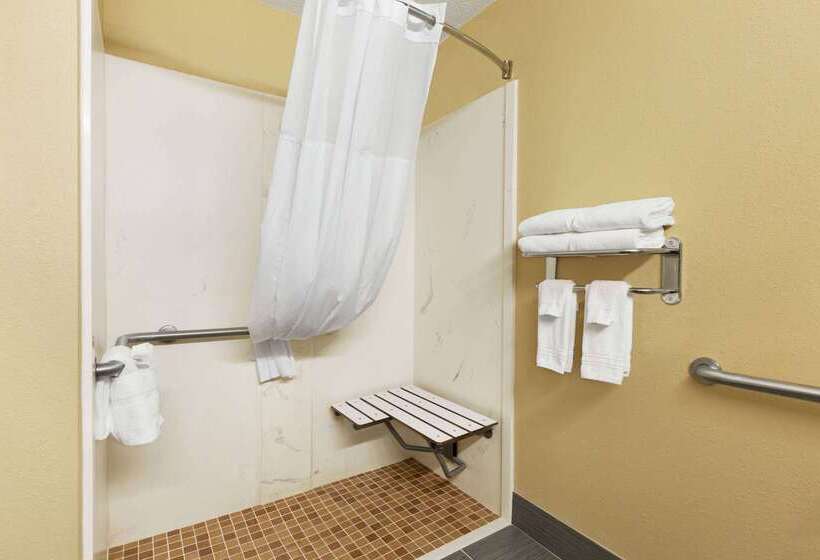 Microtel Inn & Suites By Wyndham Thomasville/high Point/lexi