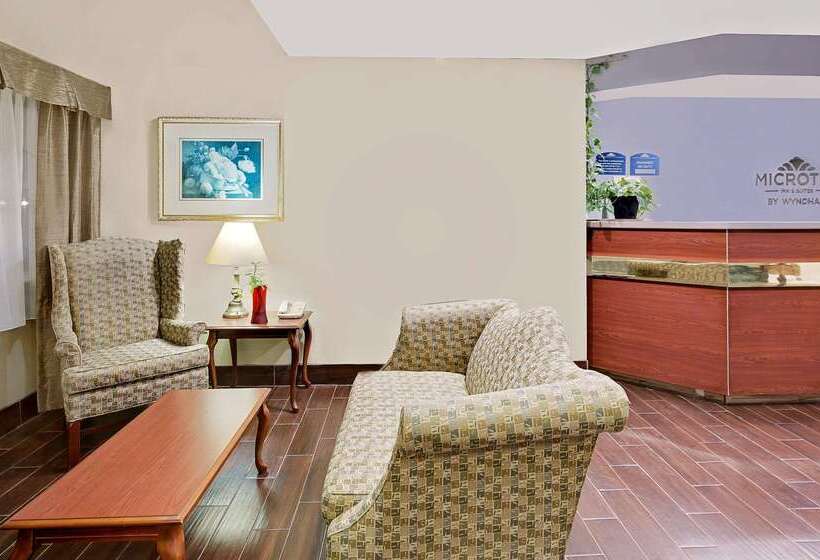 Microtel Inn & Suites By Wyndham Thomasville/high Point/lexi