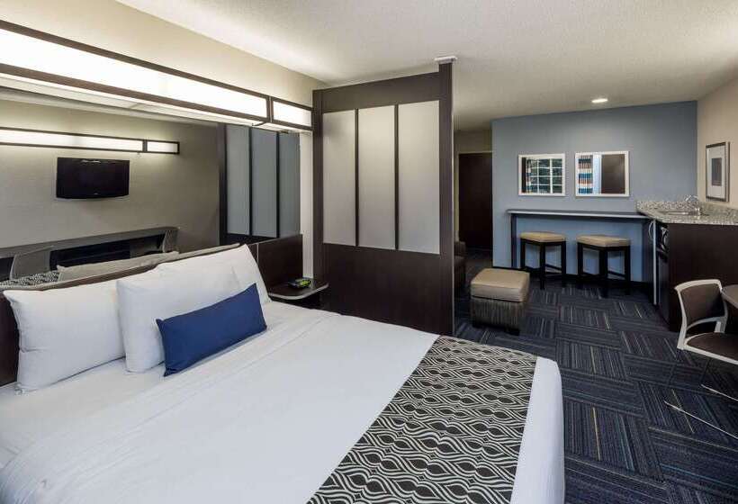 Microtel Inn & Suites By Wyndham Greenville / Woodruff Rd