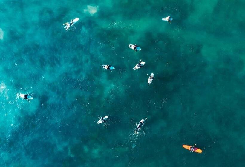 فندق على الطريق Del Mar Beach