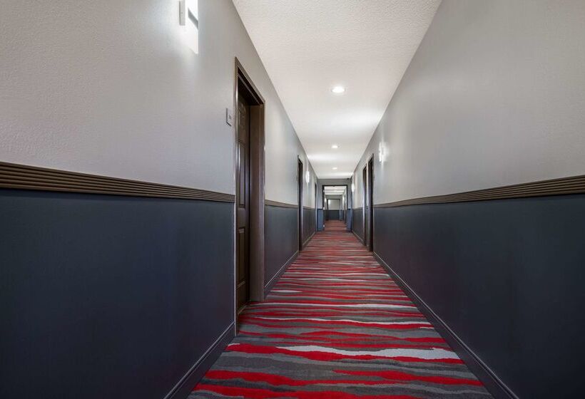 فندق على الطريق Econo Lodge Inn & Suites