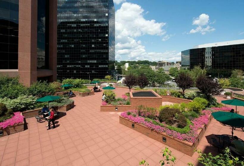 Furnished Quarters At The Metro White Plains