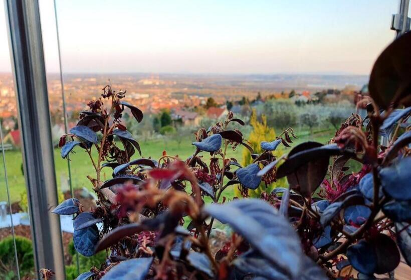 צימר Bagoly Wellness Apartman