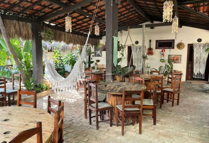 Bed and Breakfast Coco Knots Kite   Ilha Do Guajiru