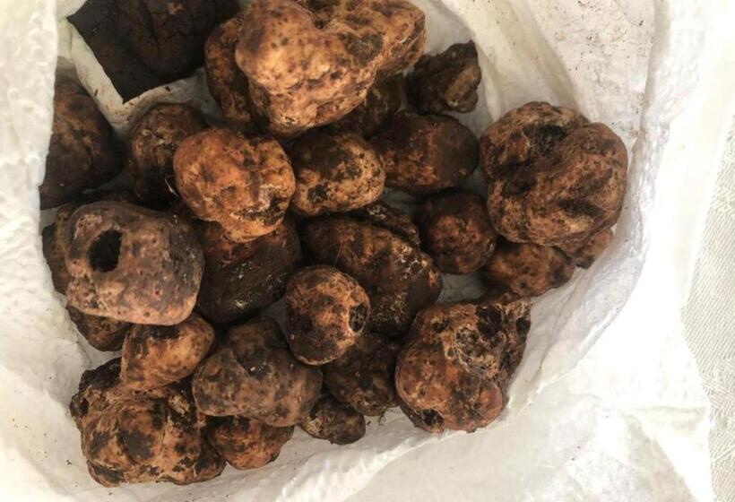 酒店 B&b Celestina Peschici