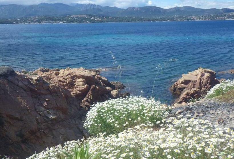 ホテル Hôtel Du Golfe Pinarello