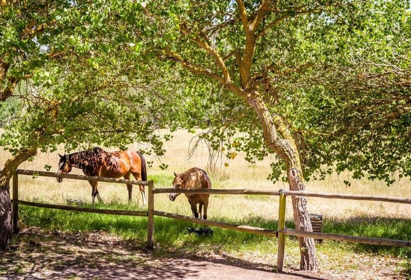 فندق Natte Valleij