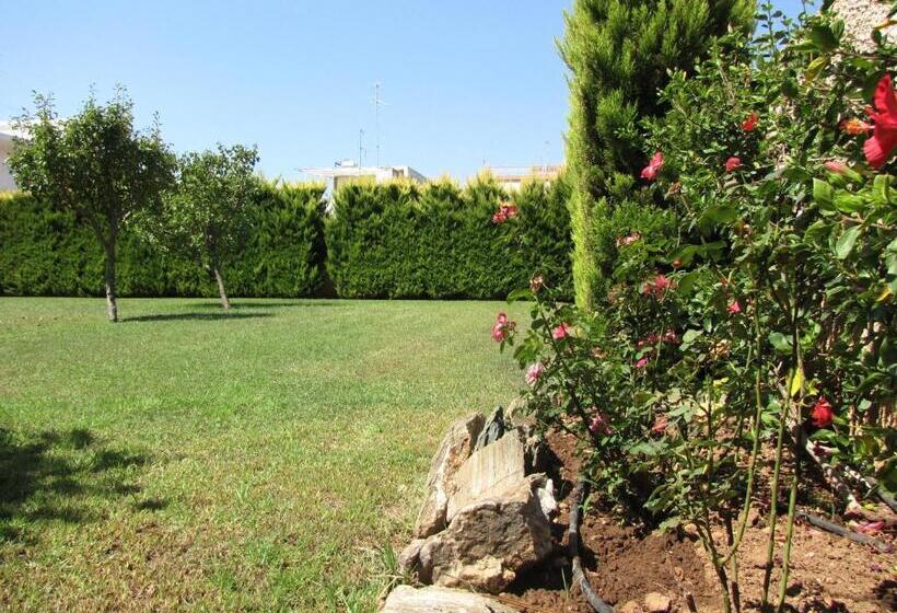 Karystos Mare Apartments