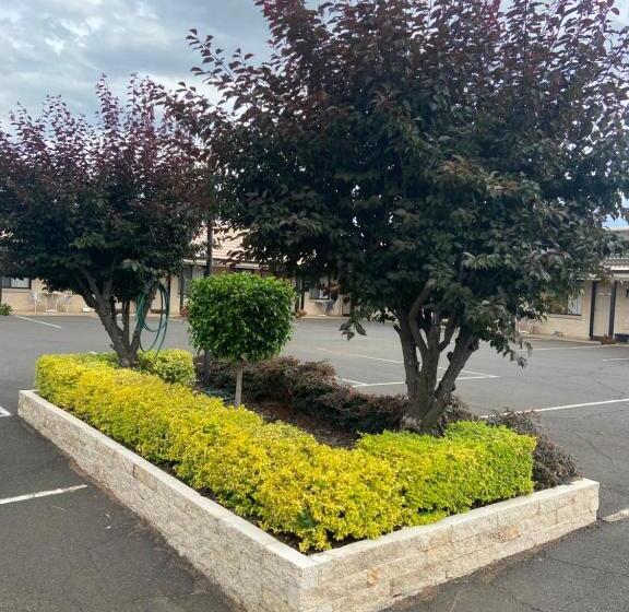 مُتل All Seasons Motor Lodge