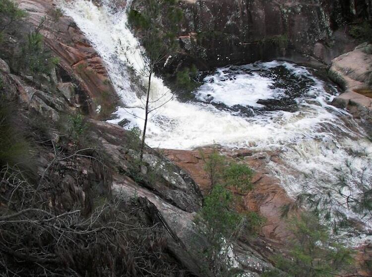 מוטל Bega Southtown Motor Inn