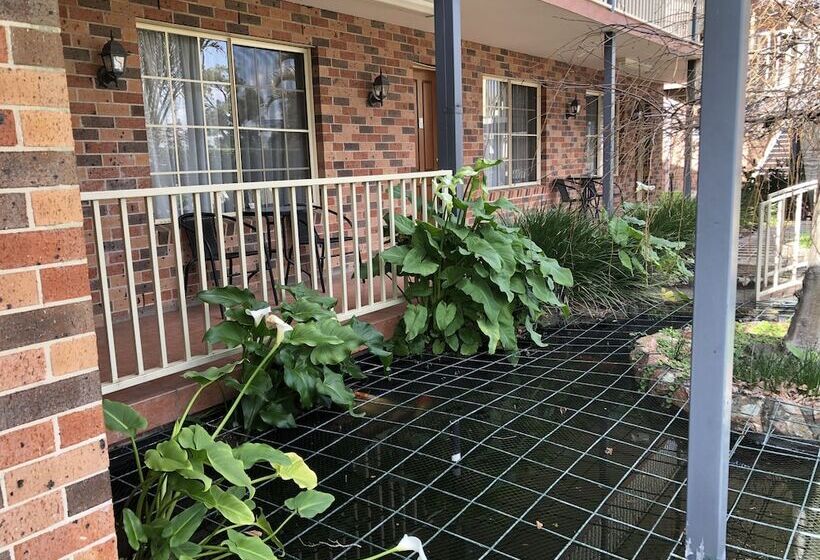 汽车旅馆  Cardiff Motor Inn