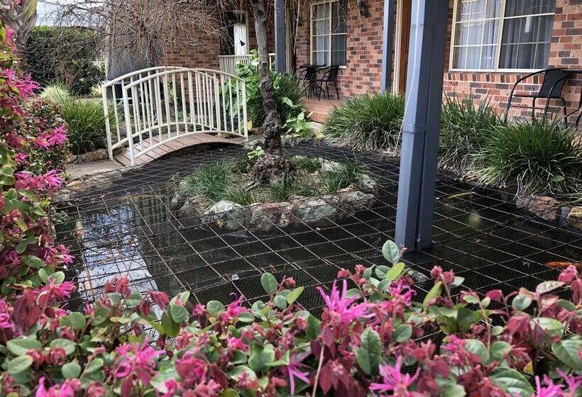 汽车旅馆  Cardiff Motor Inn