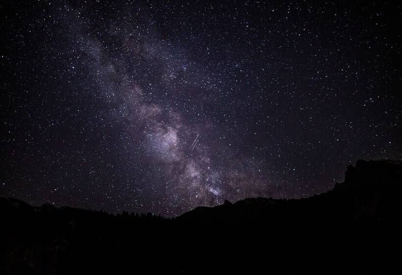 Mountain Hostel Gimmelwald