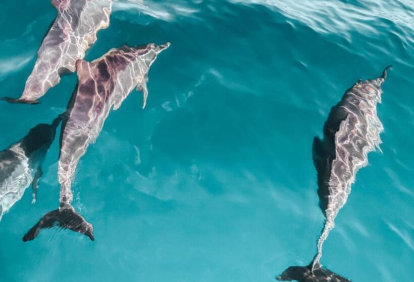 펜션 Casa Da Praça Guest House