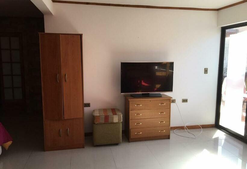 פנסיון Hostal Cauquenes