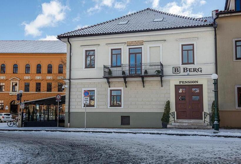 Пансион Penzión Berg