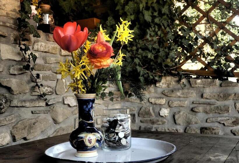 پانسیون Penzión Pod Bránou