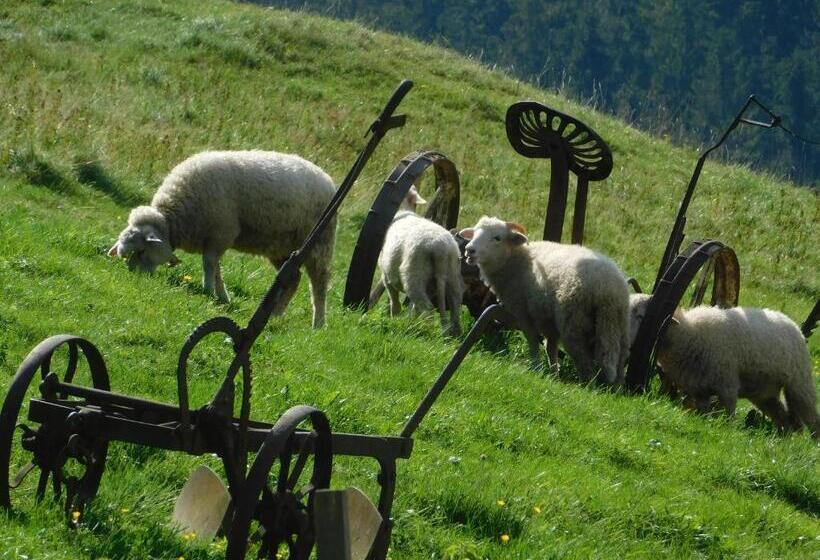 پانسیون Spa & Wellness Penzión Zorhill