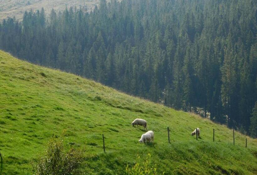 پانسیون Spa & Wellness Penzión Zorhill