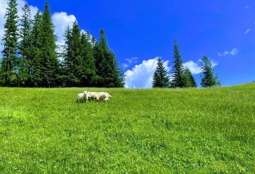 پانسیون Spa & Wellness Penzión Zorhill