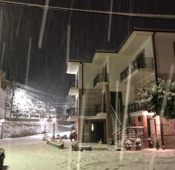 פנסיון Vila Ilo