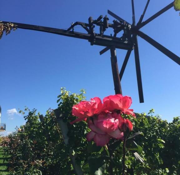 ペンション Zweytick Gästezimmer Weingut