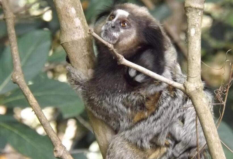 הוסטל Quarto Privativo Sem Suíte Com Cama De Casal No Dormitório Caminho Da Angélica