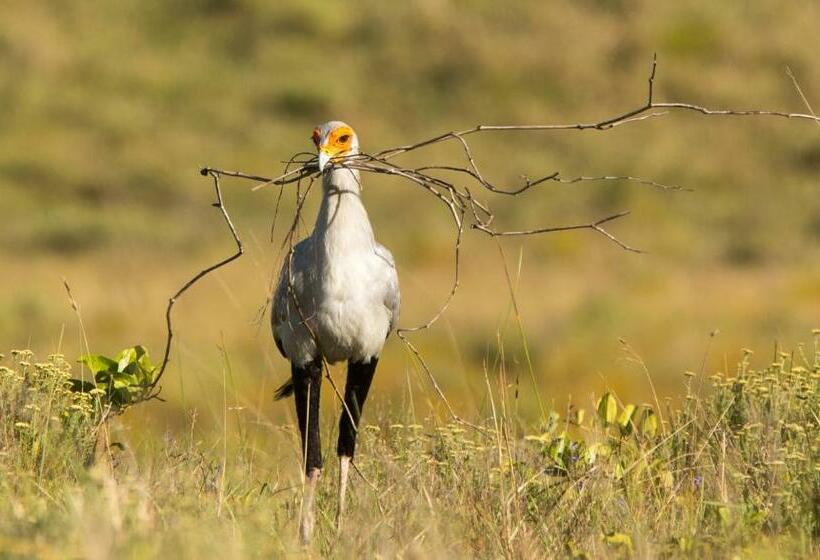 Annas Bed And Breakfast