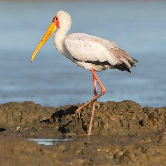 Annas Bed And Breakfast