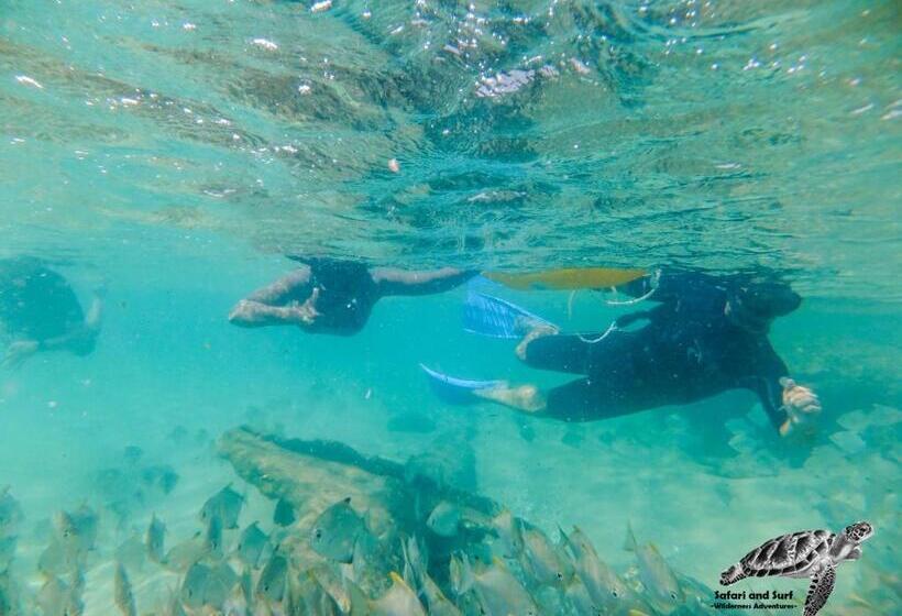 Annas Bed And Breakfast