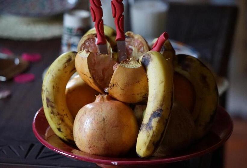 تختخواب و صبحانه Berber Nomad Kasbah