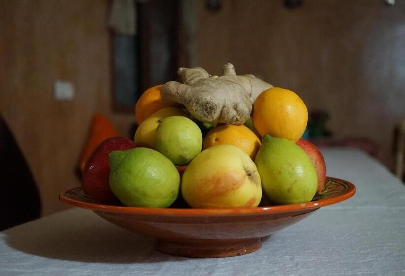 تختخواب و صبحانه Berber Nomad Kasbah