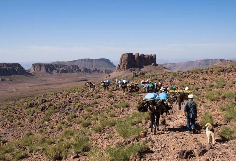 تختخواب و صبحانه Berber Nomad Kasbah