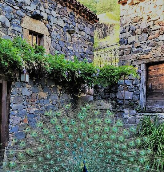 Bed and Breakfast Le Moulin