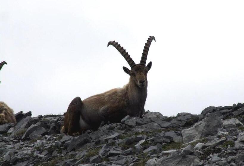민박 Pension Villa Claudia Augusta