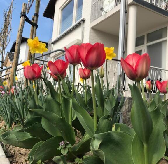 Boutiquehotel B&b The Sjinn