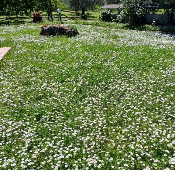 בית מלון כפרי Agriturismo Bio Pian Dei Casali