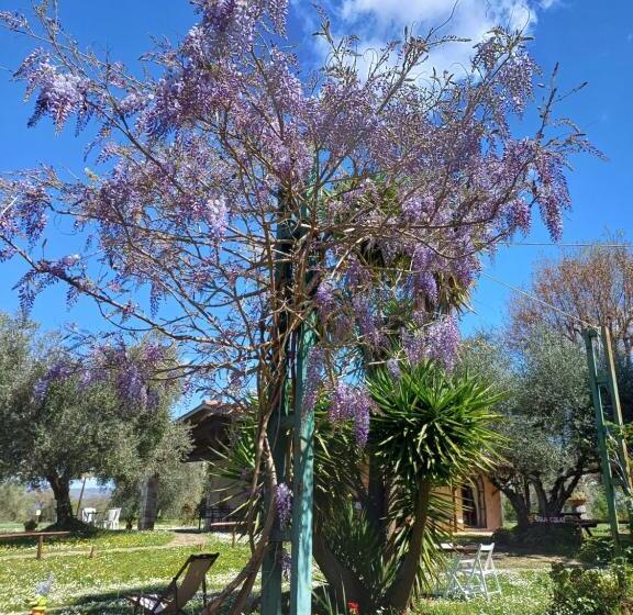 בית מלון כפרי Agriturismo Bio Pian Dei Casali