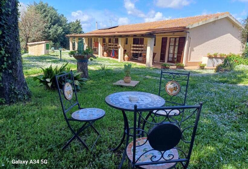 בית מלון כפרי Agriturismo Bio Pian Dei Casali