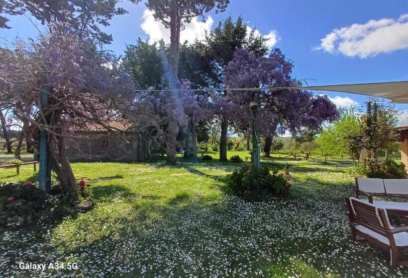 בית מלון כפרי Agriturismo Bio Pian Dei Casali