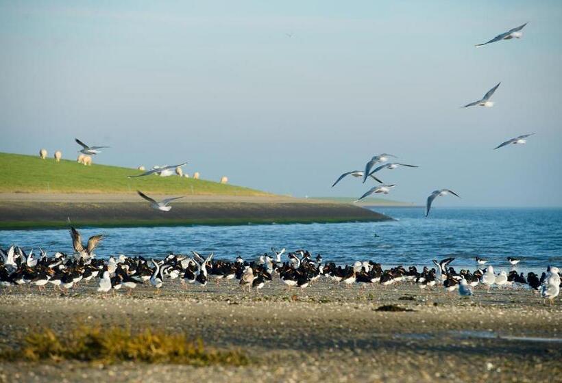 فندق Breeze Ameland