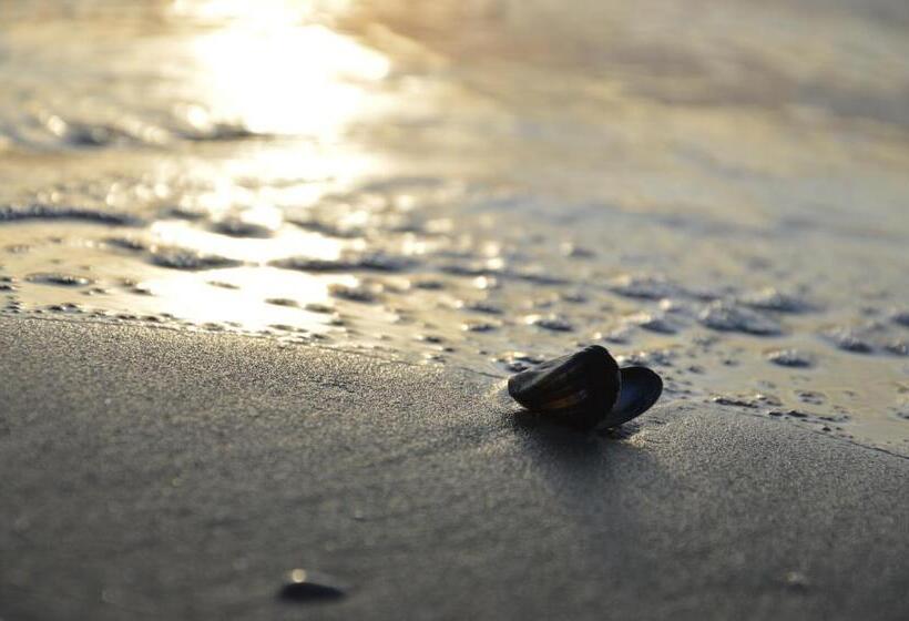 فندق Breeze Ameland