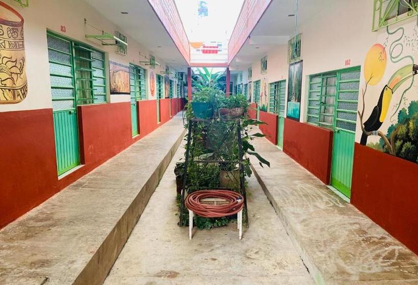 酒店 El Rincón Del Jaguar