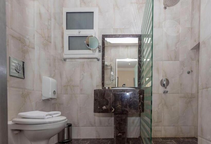 酒店 Hayat Al Riyadh