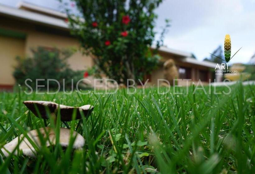 פנסיון Art Villa Del Poggio